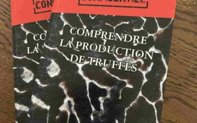 Comprendre La Production de Truffes