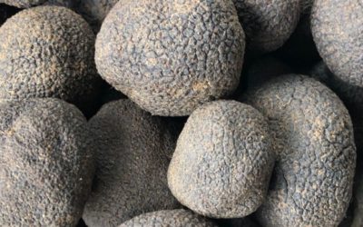 Un aspect du prix des truffes